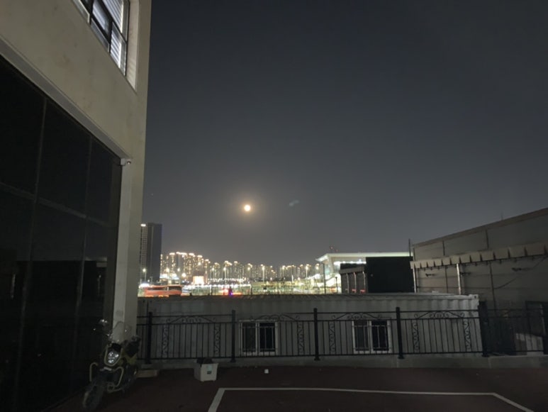 싹디 이미지
