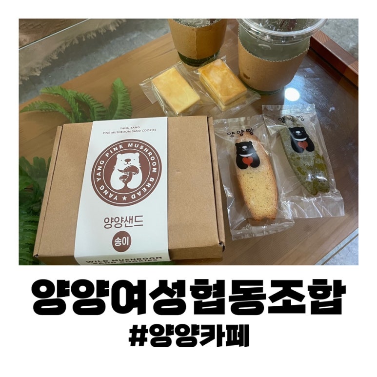 양양여성협동조합 이미지