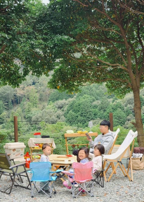 진도카멜리아힐즈오토캠핑장 이미지