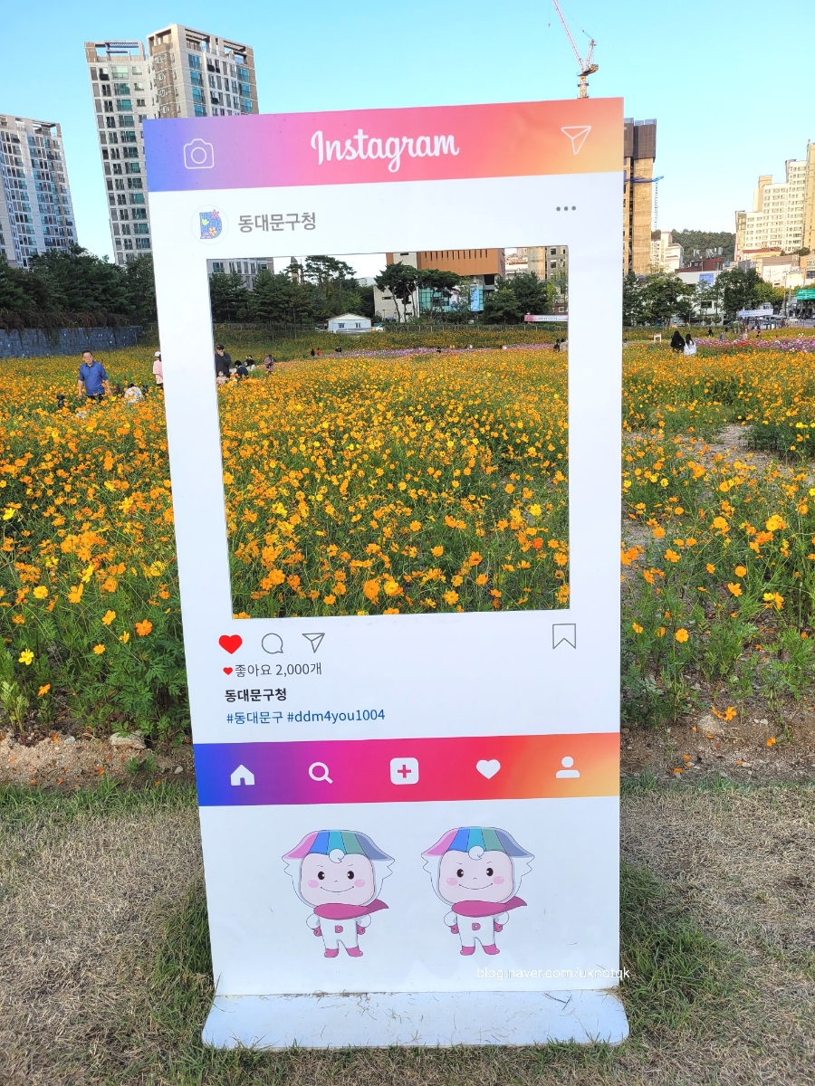 모이몰른롯데백화점 이미지