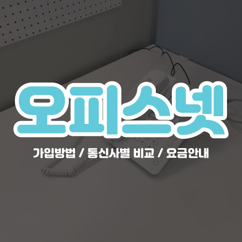 비앤솔루션 이미지