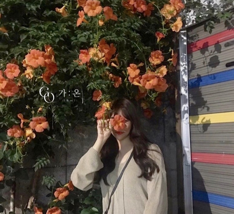 가온헤어디자인 이미지