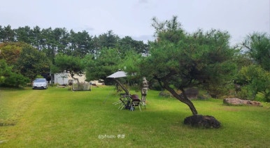 보성국민학교카페 이미지