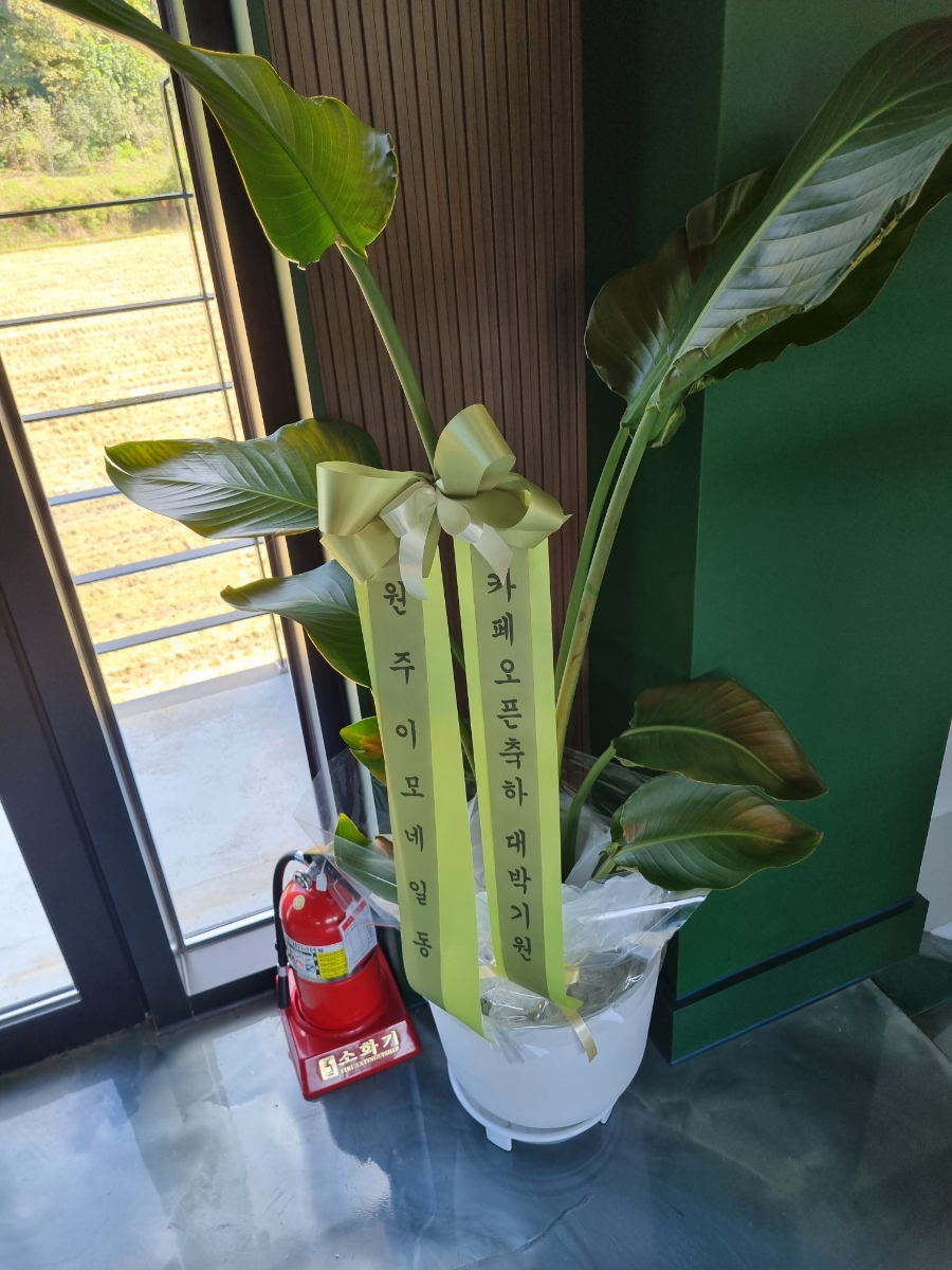 그대별처럼 이미지