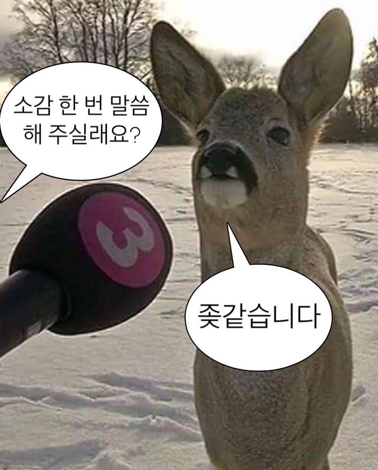 디자인알았대 이미지