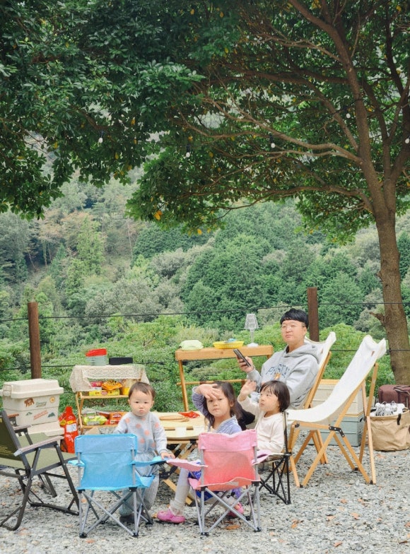 진도카멜리아힐즈오토캠핑장 이미지