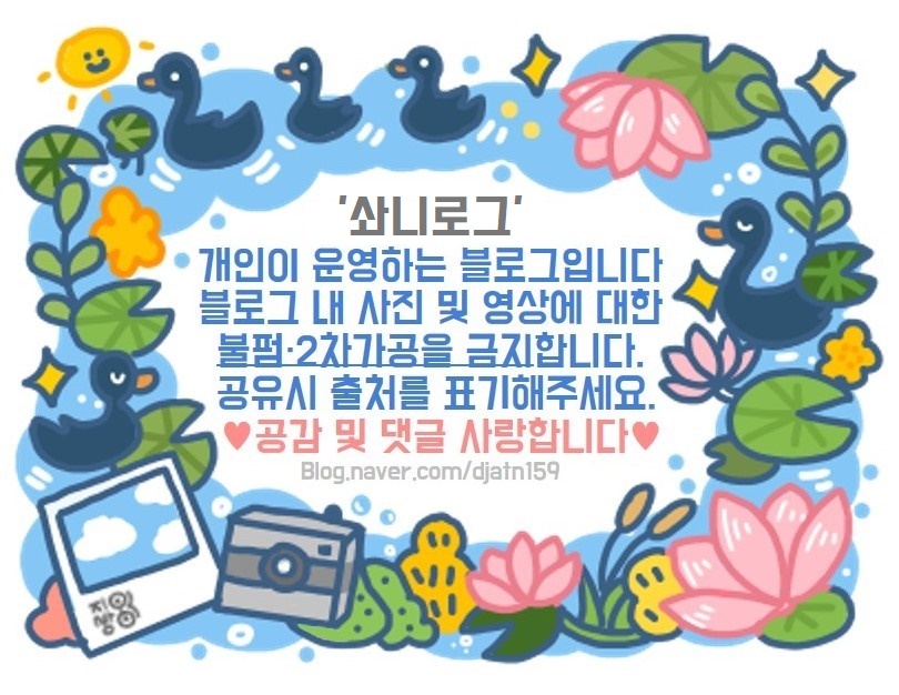 콤마랩스 이미지