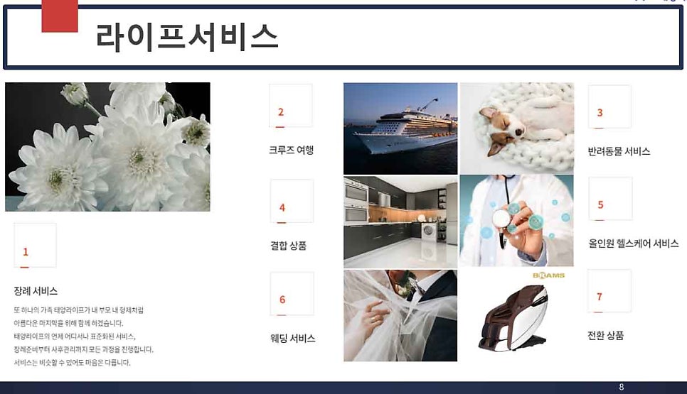 태양라이프 이미지