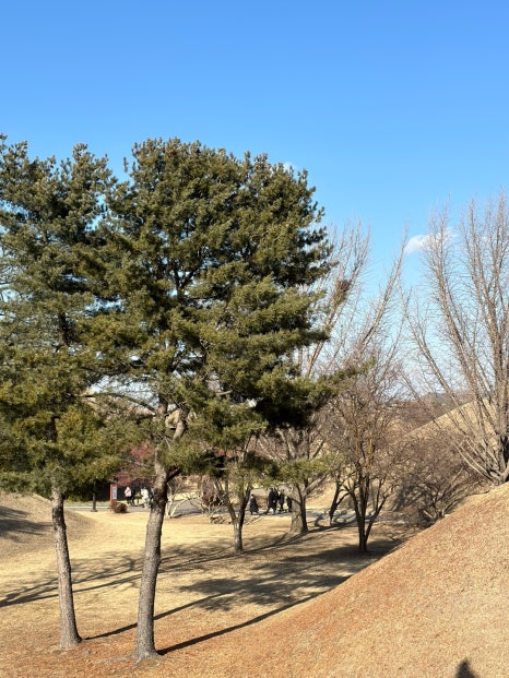 올리브과자점 이미지