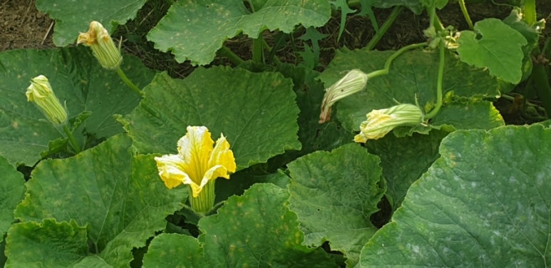 마실이야기 이미지