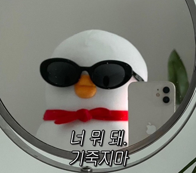 랜드글램핑 이미지