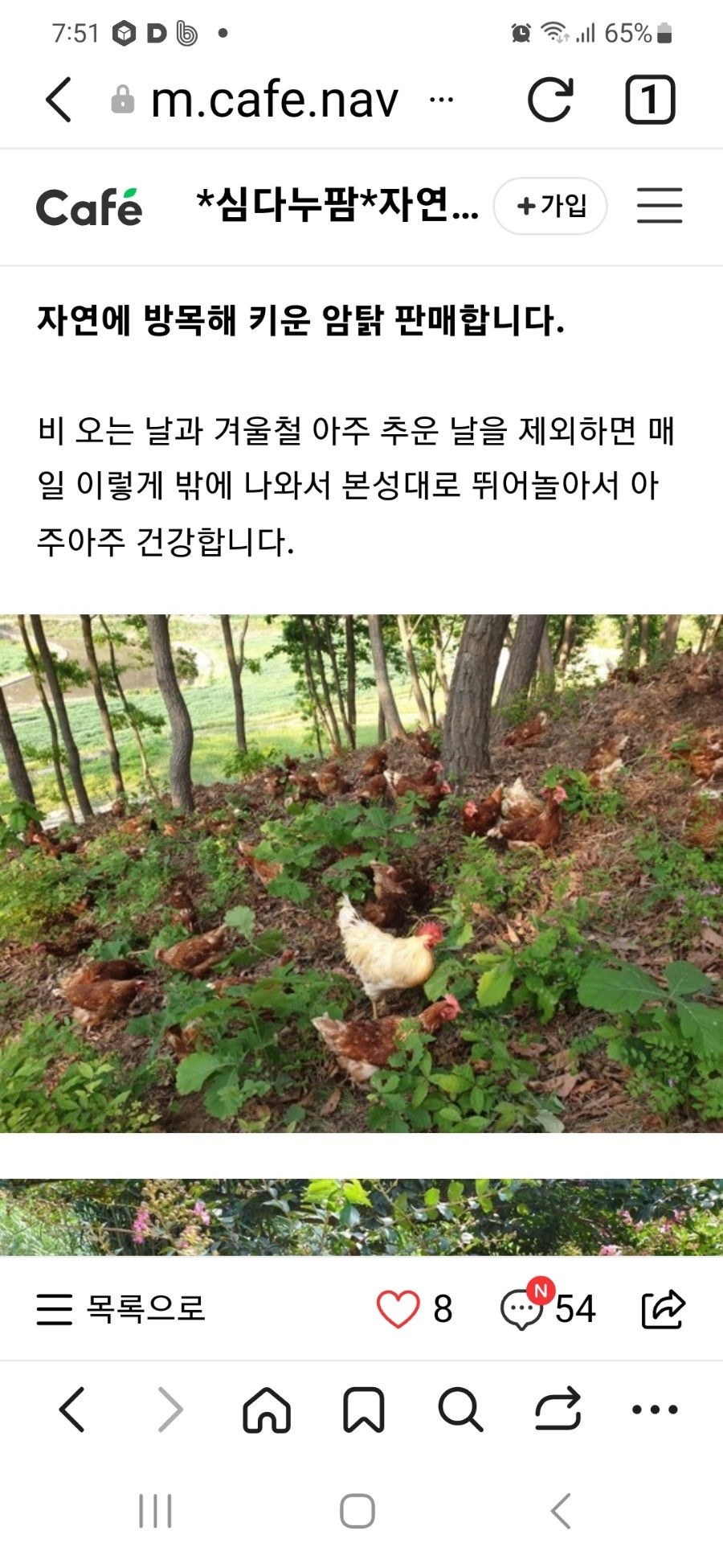 심다누 그래스 비프 이미지