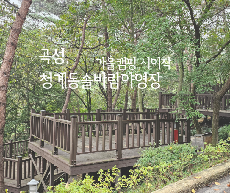 솔바람 야영장 이미지