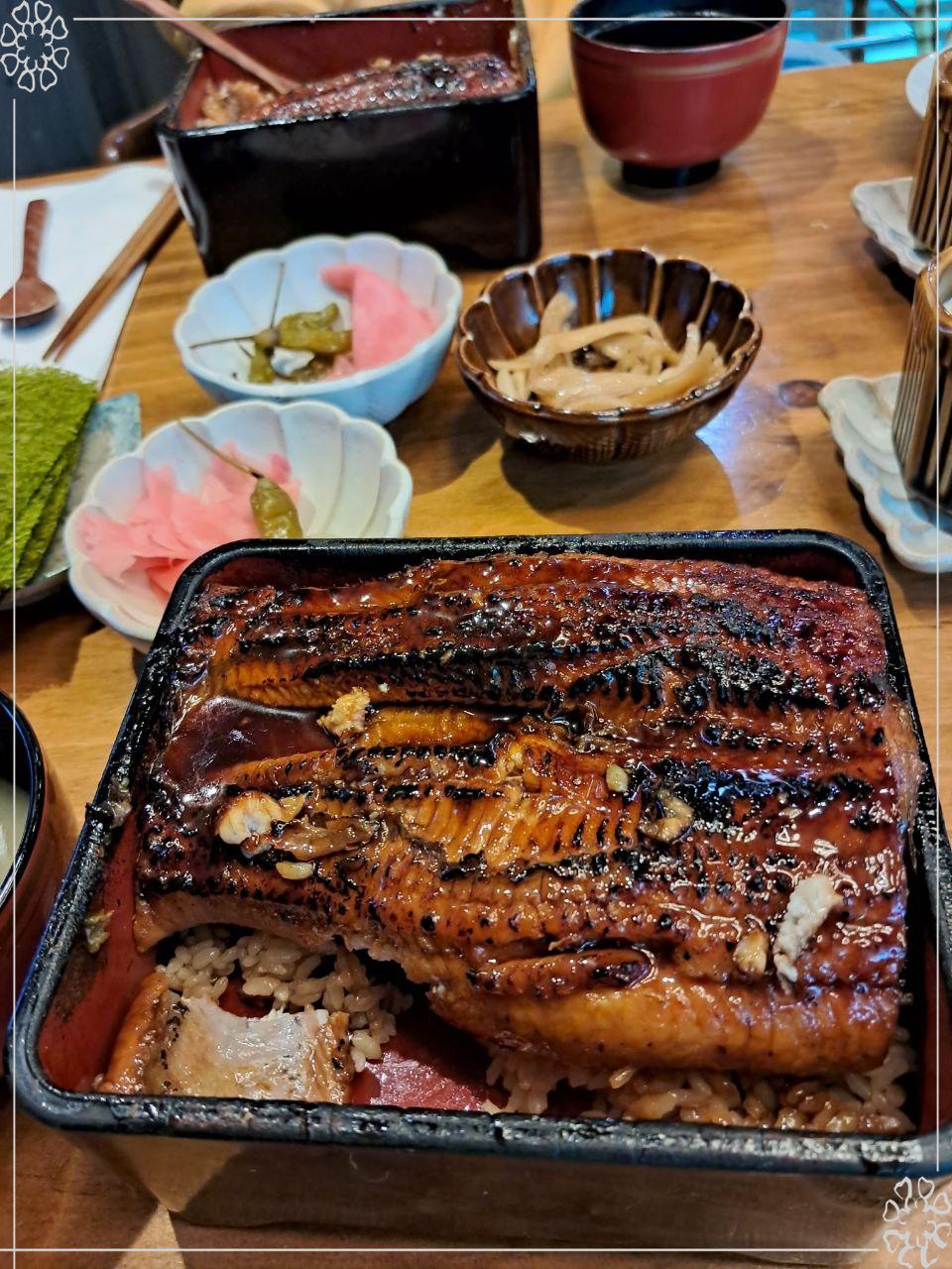 타마 이미지