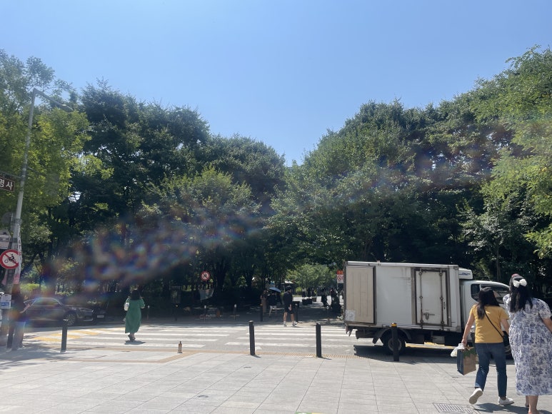세겹집2 이미지
