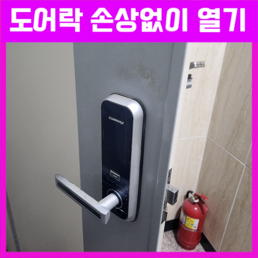 동탄 코맥스 이미지