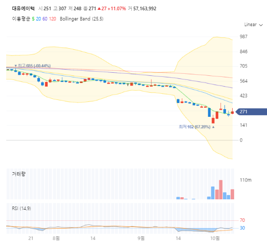 대유인터내셔널 이미지