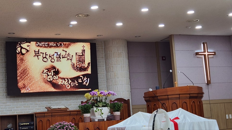 부강기획 이미지
