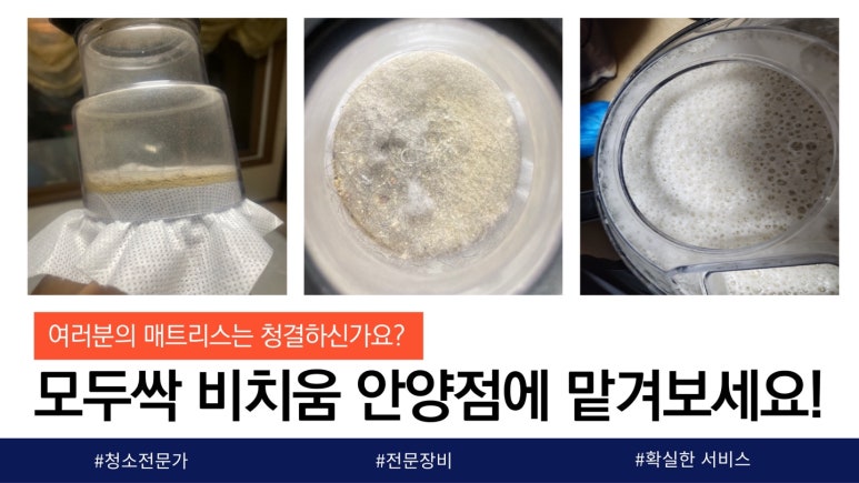 모두싹청소 이미지