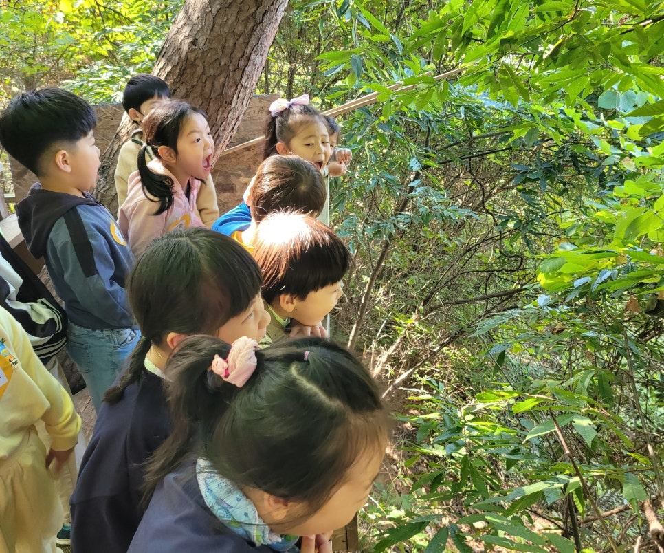 산울림유치원 이미지