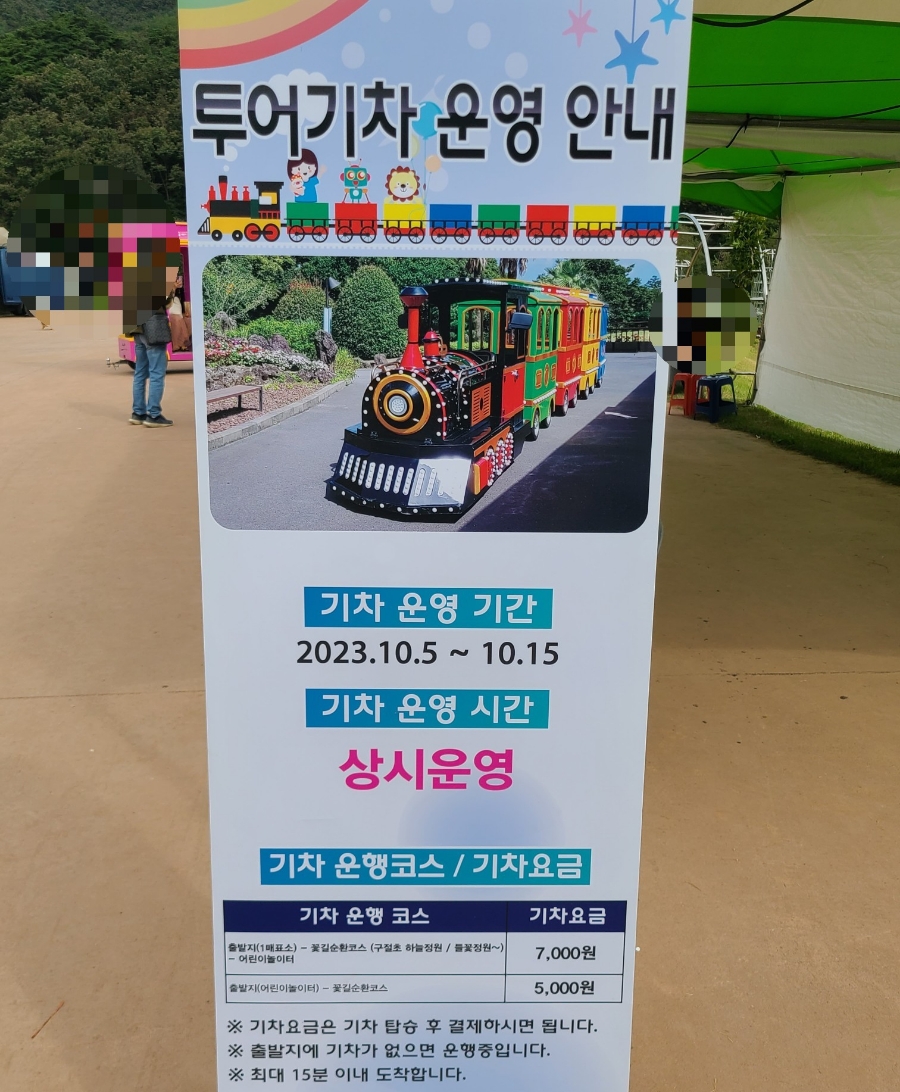 구절초 꽃축제 투어기차 이미지