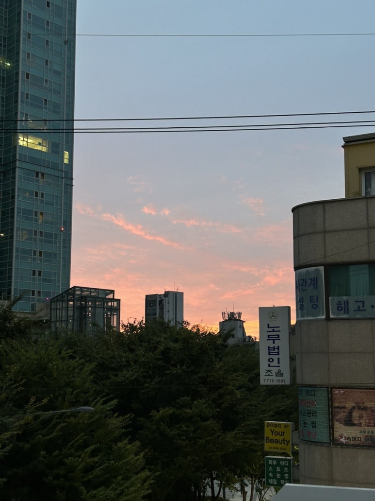 레드플랜트 이미지
