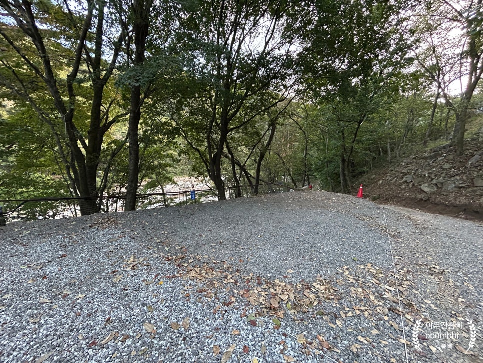 수봉야영장 이미지
