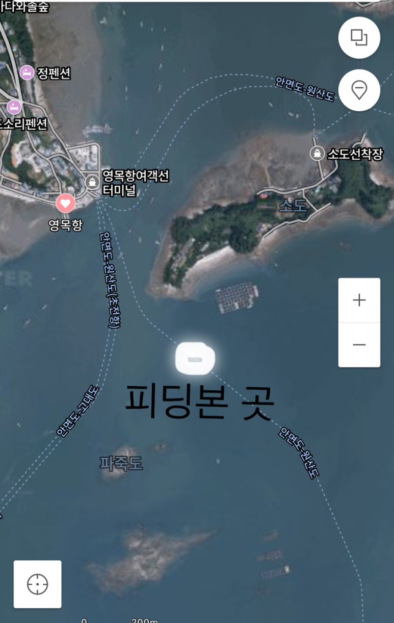 쭈 등 이미지