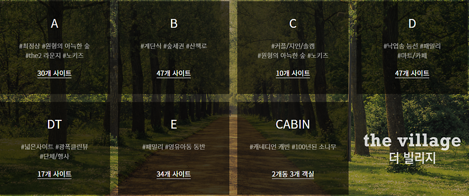 더빌리지캠핑장 이미지