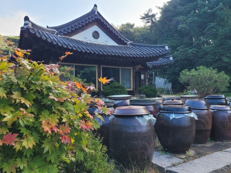 산울림유치원 이미지