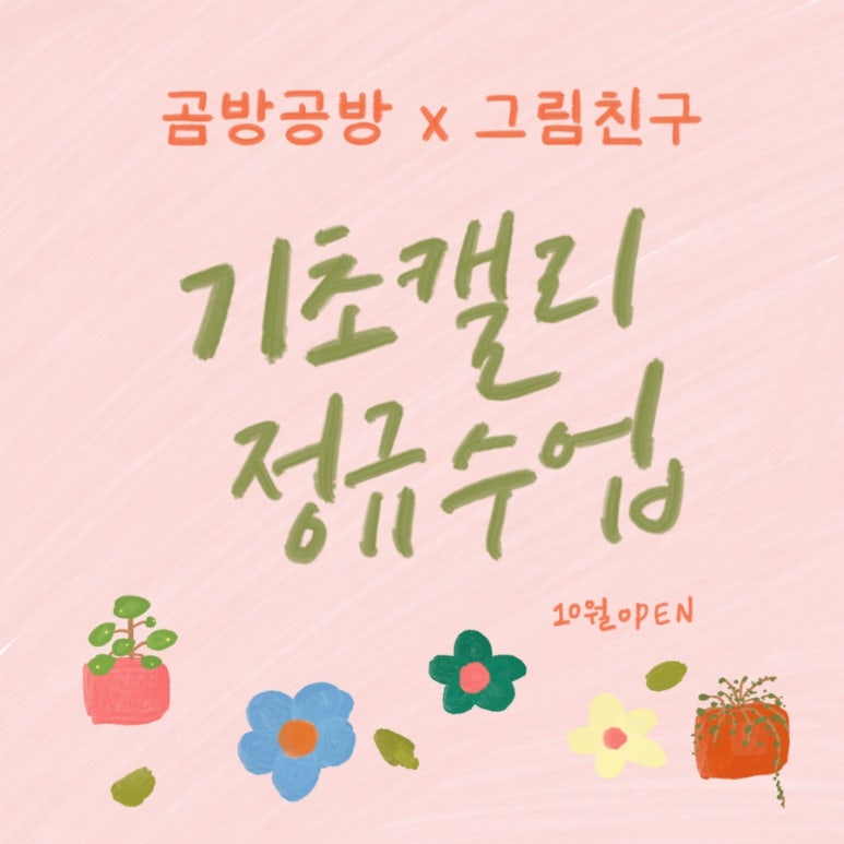 곰방공방 이미지