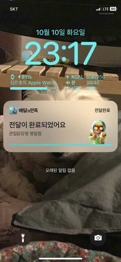 명일닭강정 이미지