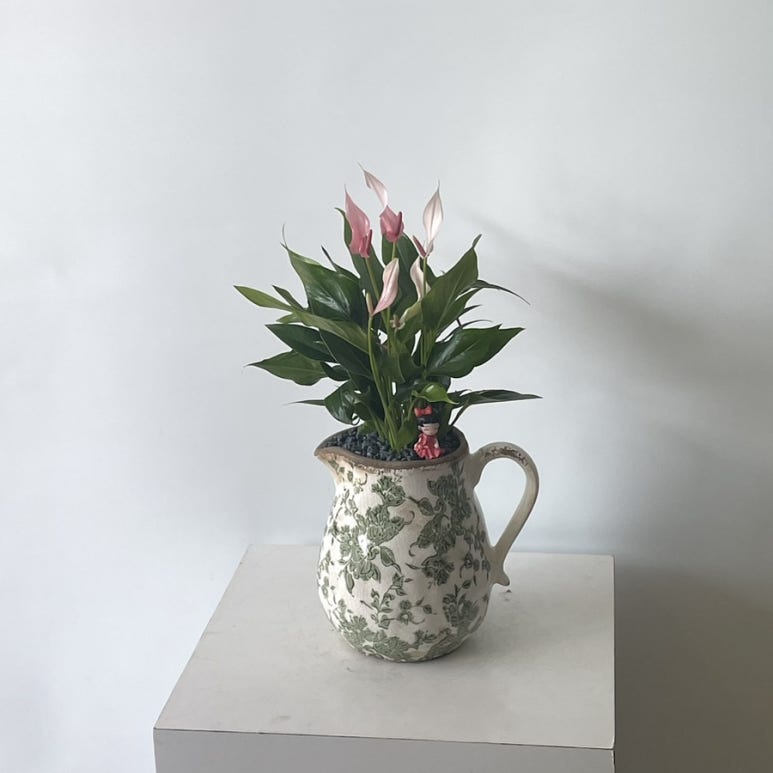 꽃바람화원 이미지