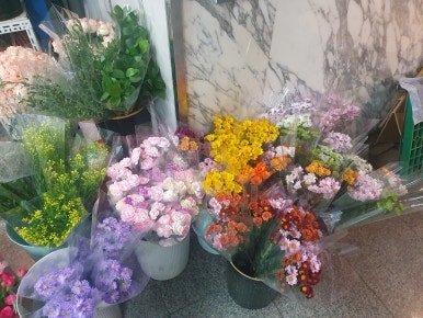 강남꽃직매장 이미지