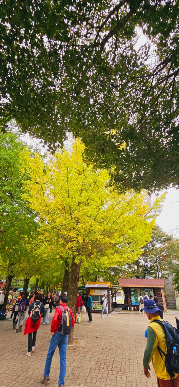 더벤티문경 이미지