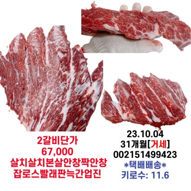미경사2 이미지