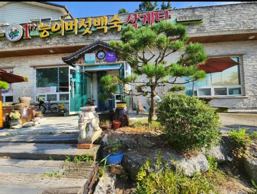 황제능이버섯백숙 이미지