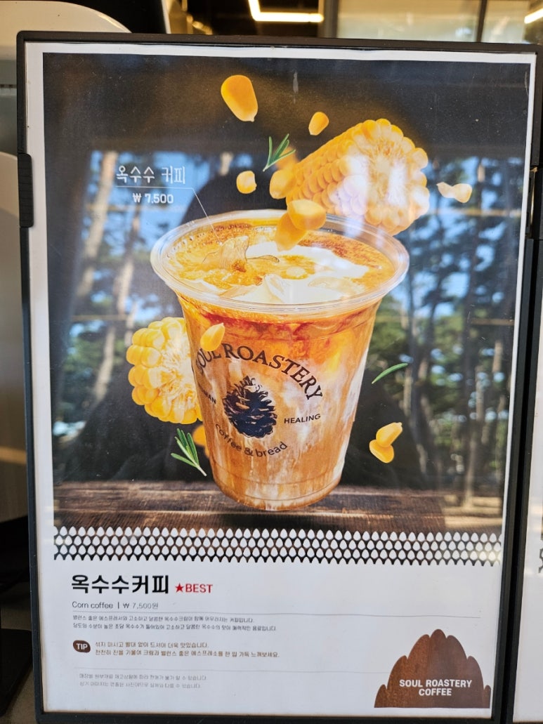 소나무와커피 이미지