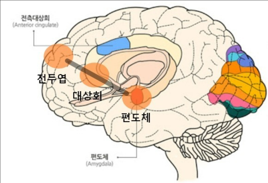 라온어린이집 이미지