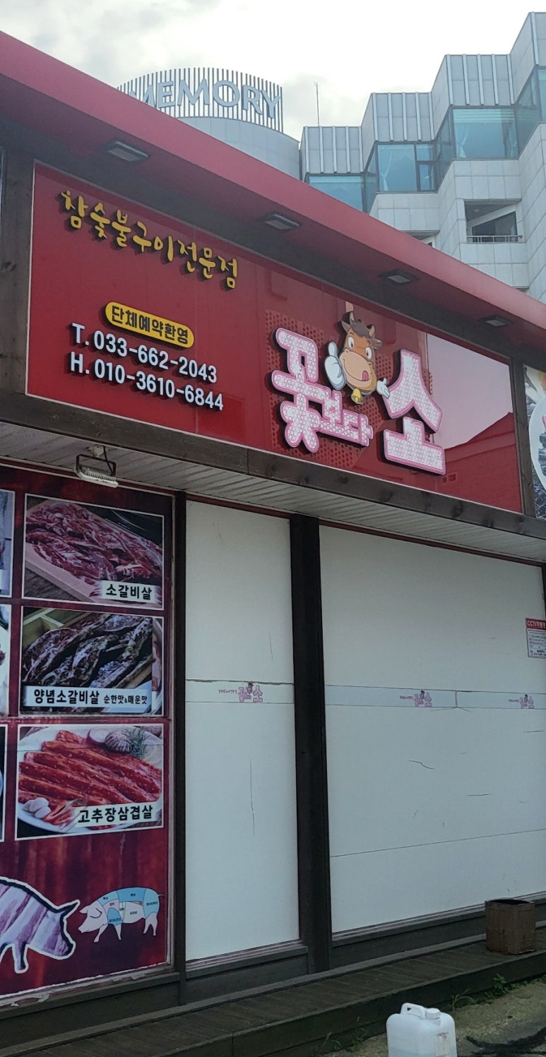 꽃보다소 이미지