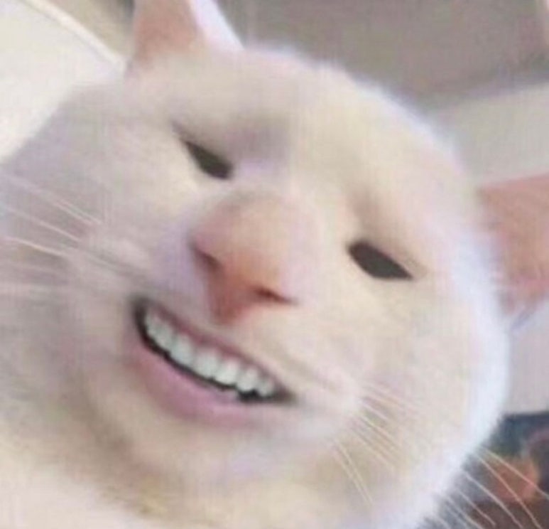 머꼬 이미지