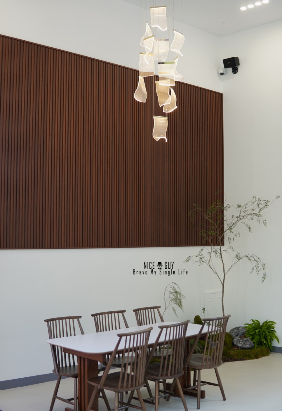 레포레스트(REFOREST) 이미지