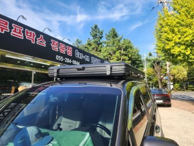 와이드와일드 이미지