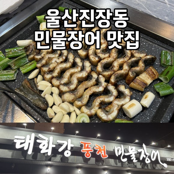 태화강풍천민물장어 이미지