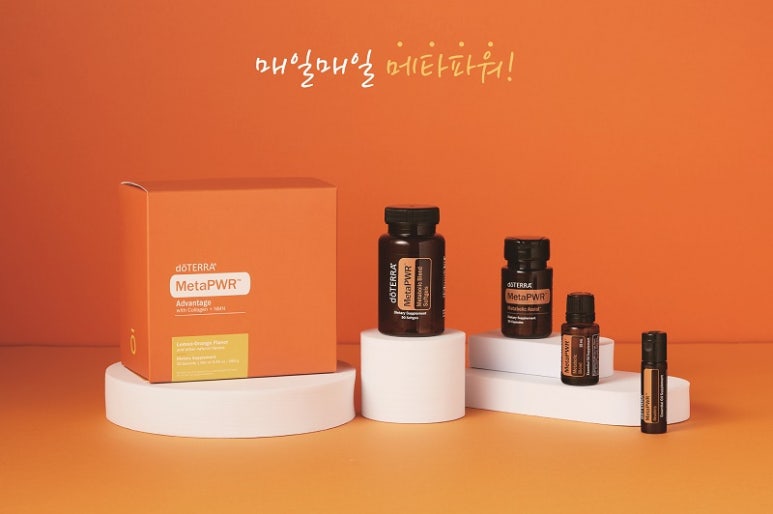 도테라코리아(유) 이미지
