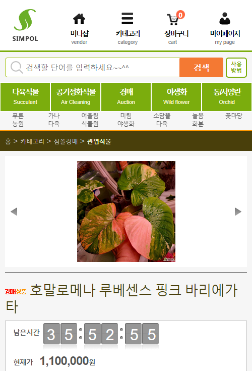 묘한정원 이미지