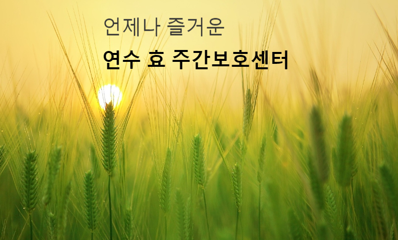효인지 재활전문센타 이미지