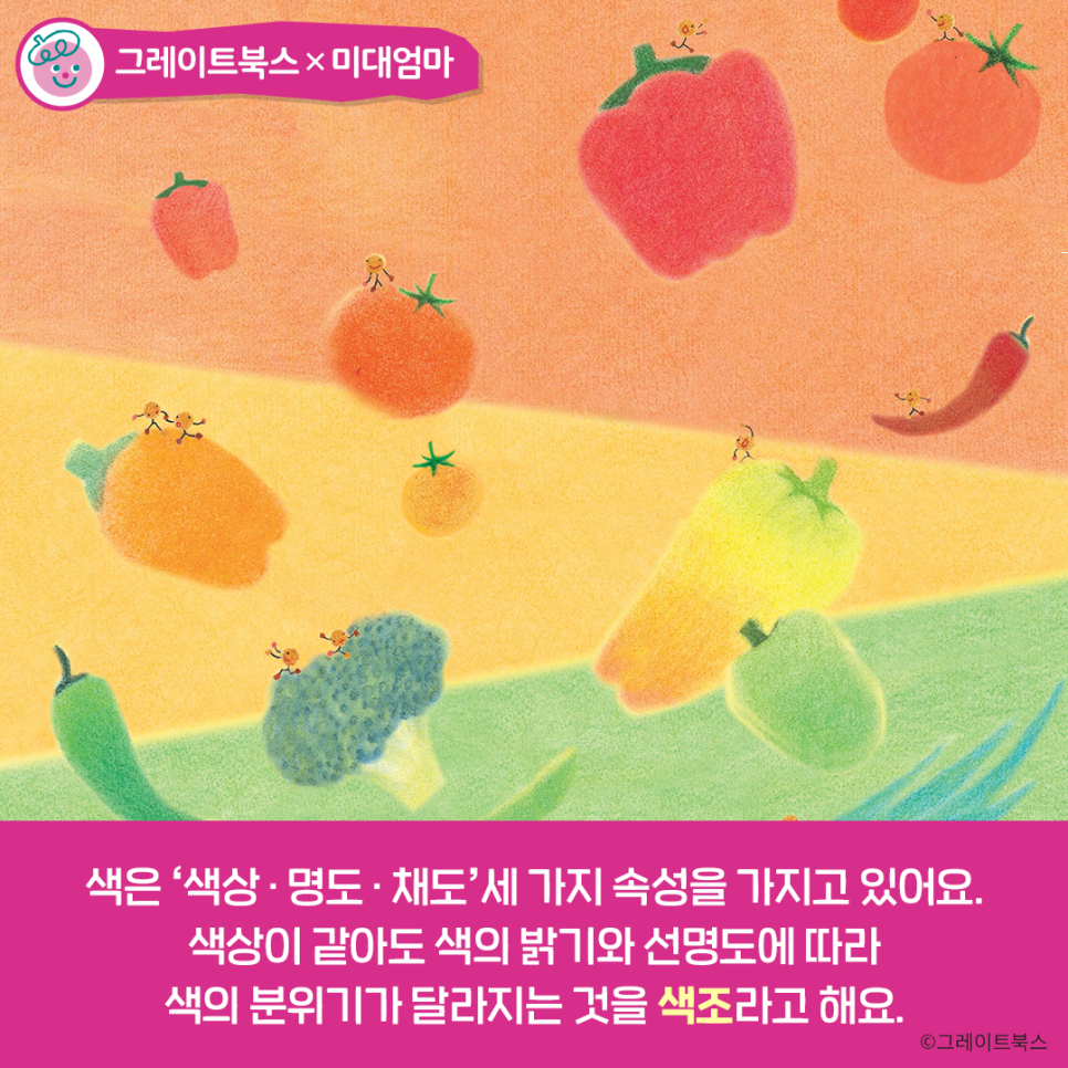 세종대왕어린이서점세종어린이서점 이미지