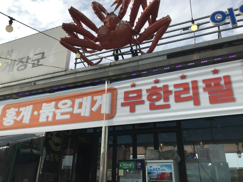 광성카 이미지