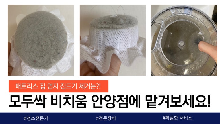 모두싹청소 이미지